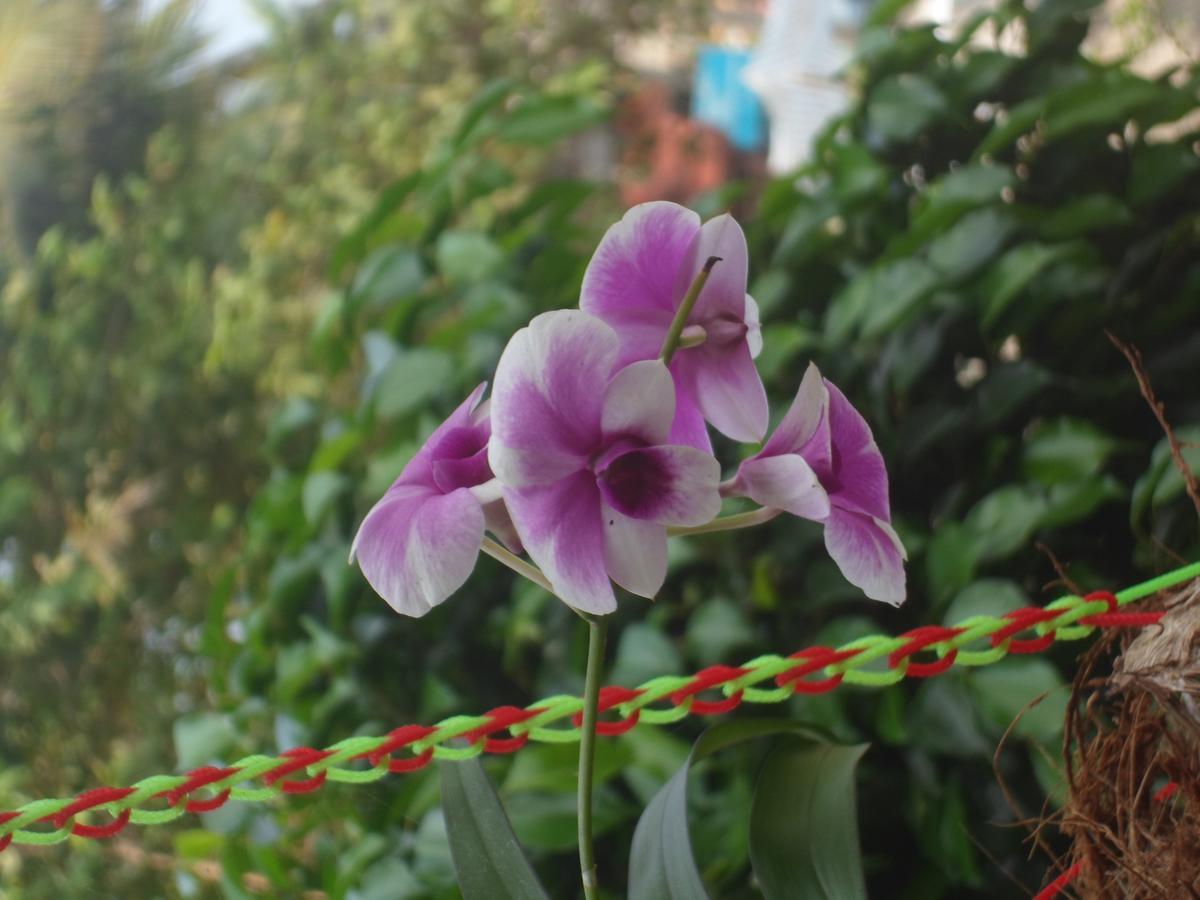 New Heaven Beach Resort Varkala Esterno foto