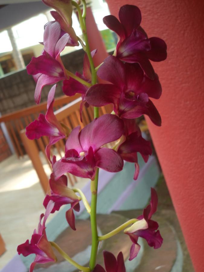 New Heaven Beach Resort Varkala Esterno foto